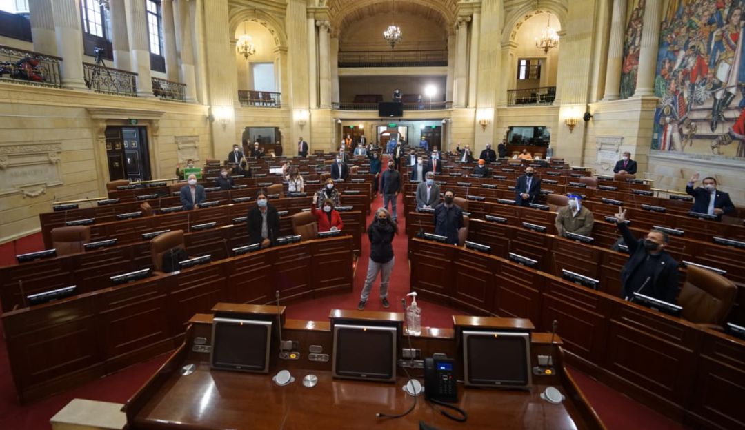Proyectos ley víctimas de violación: ¿En qué consiste el proyecto que daría subsidio a víctimas de violación?