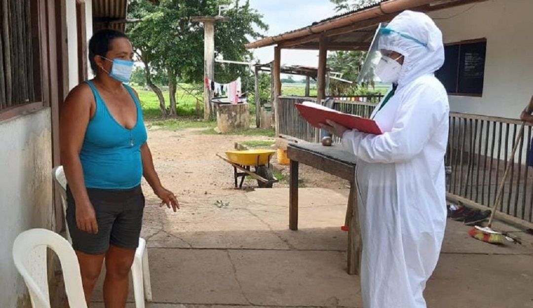 Rabia bovina en Magangué: Confirman primer caso de rabia bovina en Magangué