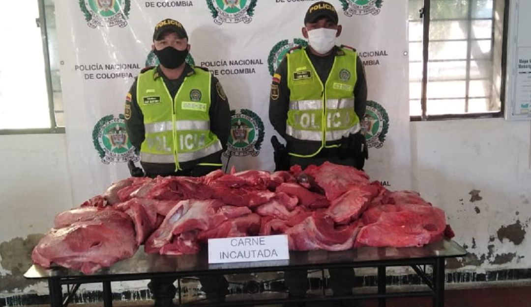 Carne en mal estado: Incautan carne en mal estado que iba ser comercializada