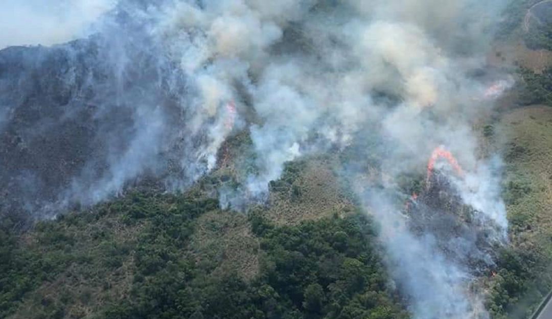 Noticias Tolima: Iniciaron los incendios forestales en el Tolima