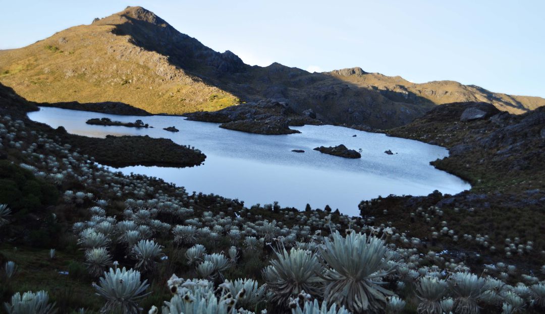 Cuidado medio ambiente: Alianza Verde busca que Páramo de Santurbán sea sujeto de derechos