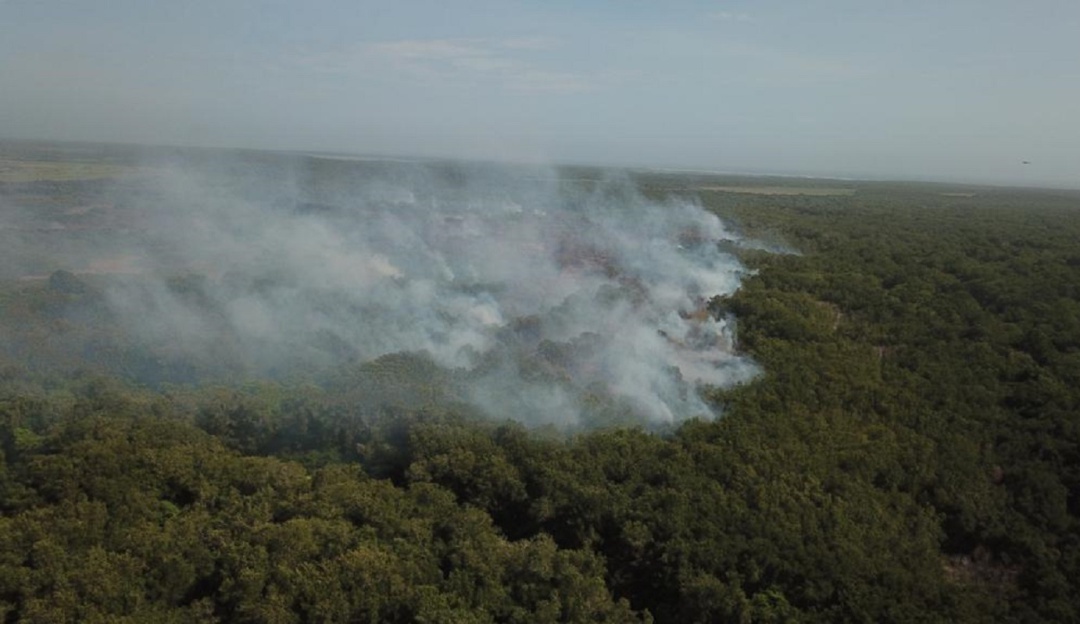 Parque Isla Salamanca: 42 rescatistas luchan contra el incendio en Isla Salamanca