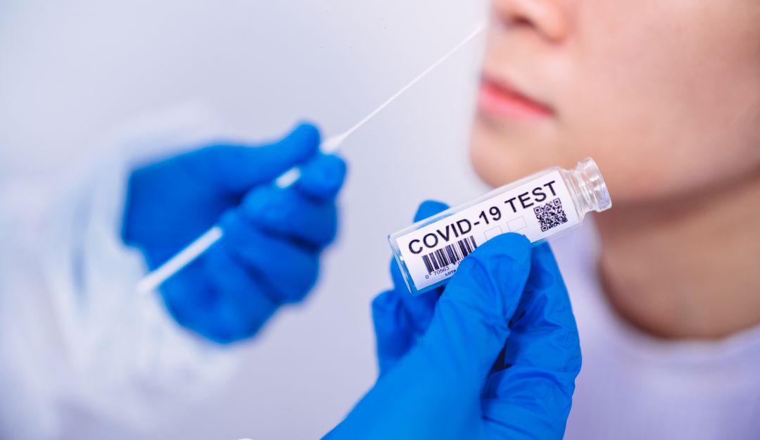 Coronavirus Colombia: Estudios científicos ratifican que los mosquitos no transmiten el COVID