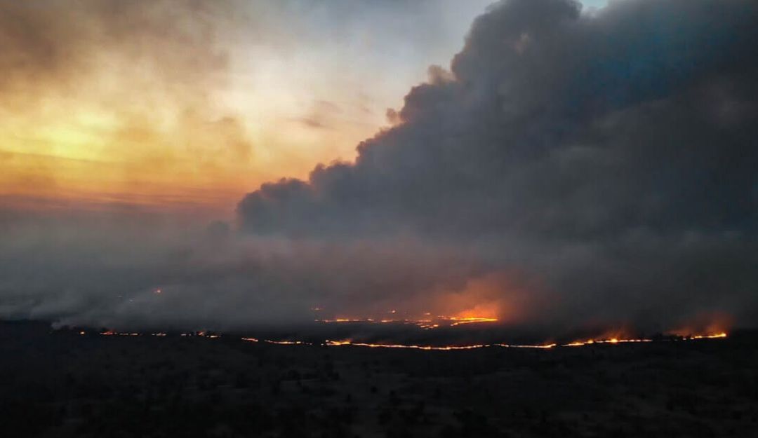 Es “mentira” que los incendios estén arrasando la Amazonía: Bolsonaro