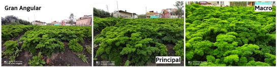 Redmi Note 9 Pro Pruebas: Xiaomi Redmi Note 9 Pro: Cámaras para reinar en las redes sociales Redmi Note 9 Pro Pruebas: Xiaomi Redmi Note 9 Pro: Cámaras para reinar en las redes sociales