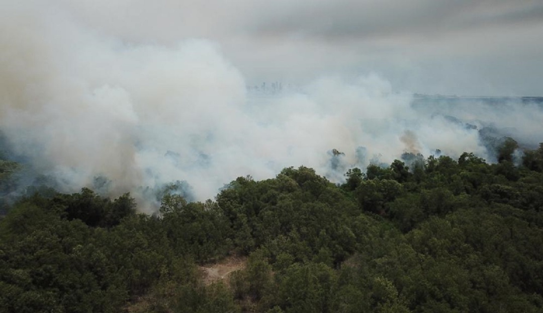 Parque Isla Salamanca: En un 50% está controlado el incendio forestal en Parque Isla Salamanca