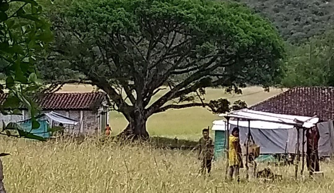 Asentamientos subnormales: Indígenas invaden predios del Grupo Grajales en norte del Valle