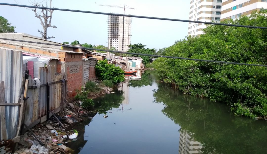 Red de Patrimonio Climático internacional: Cartagena hará parte de la Red de Patrimonio Climático internacional