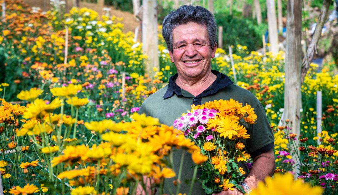 Flores de Medellín: la estrategia para ayudar los floricultoras de la feria