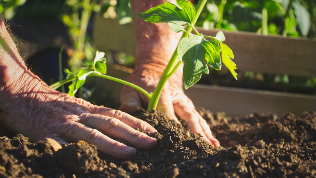 Sube hasta 16% el precio de insumos agrícolas en medio de paro y pandemia