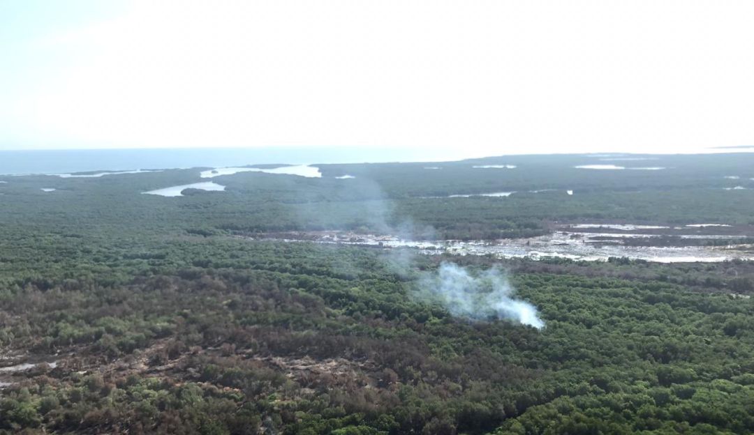 INCENDIOS FORESTALES: Se reactivaron dos focos del incendio en el parque Isla Salamanca: UNGRD