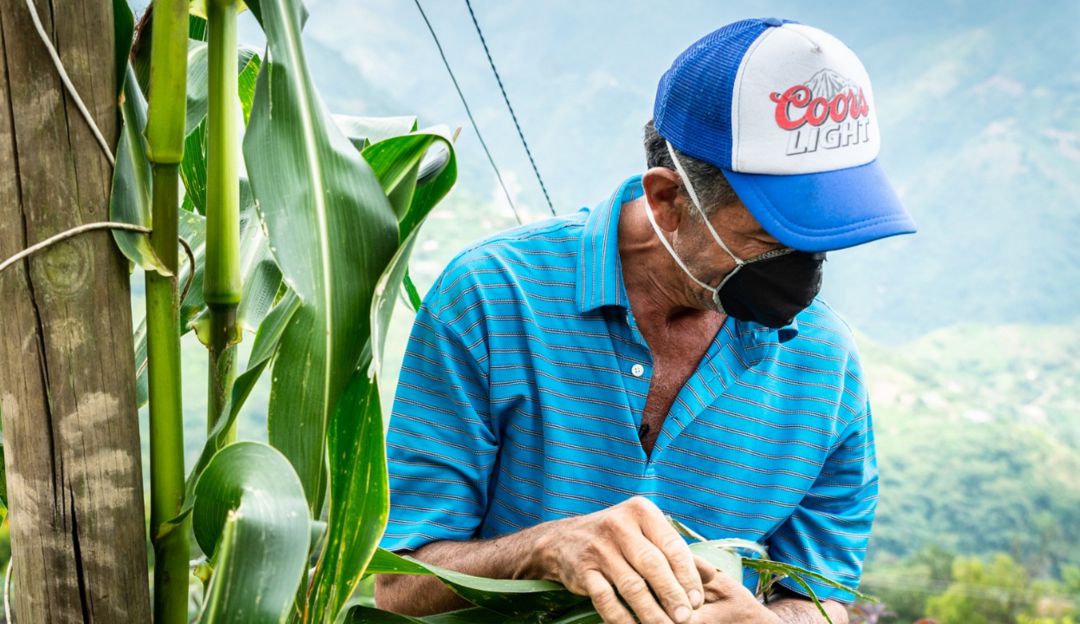 Compra Local: Campesinos de Medellín han vendido más de 110 millones en Compra Local
