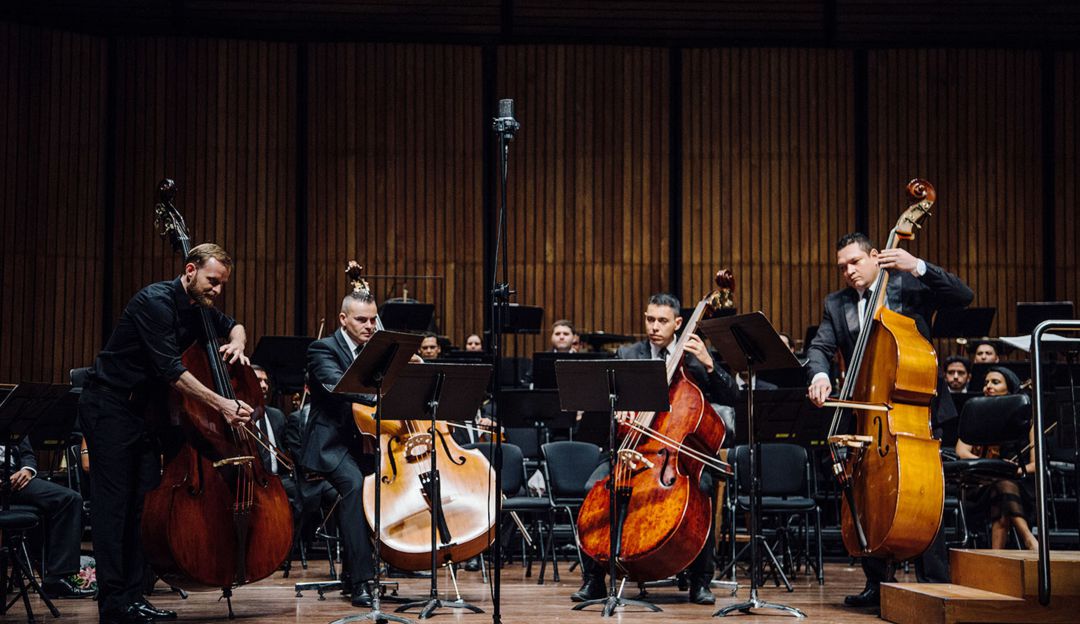 Filarmónica de Medellín: Orquesta Filarmónica explora el contrabajo, con un concierto