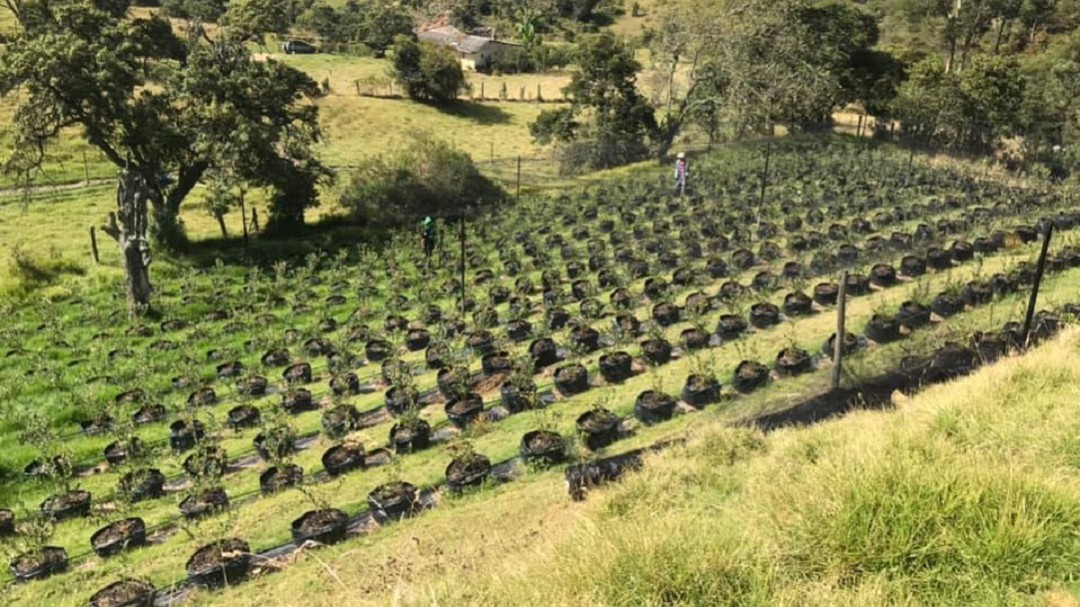 Volver al campo, una decisión de vida que vale la pena intentar