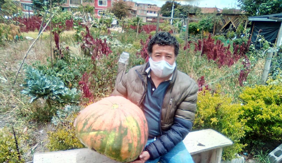 Cultivos en casa, en el jardín: Cultivos en la ciudad, para ayudar en la seguridad alimentaria