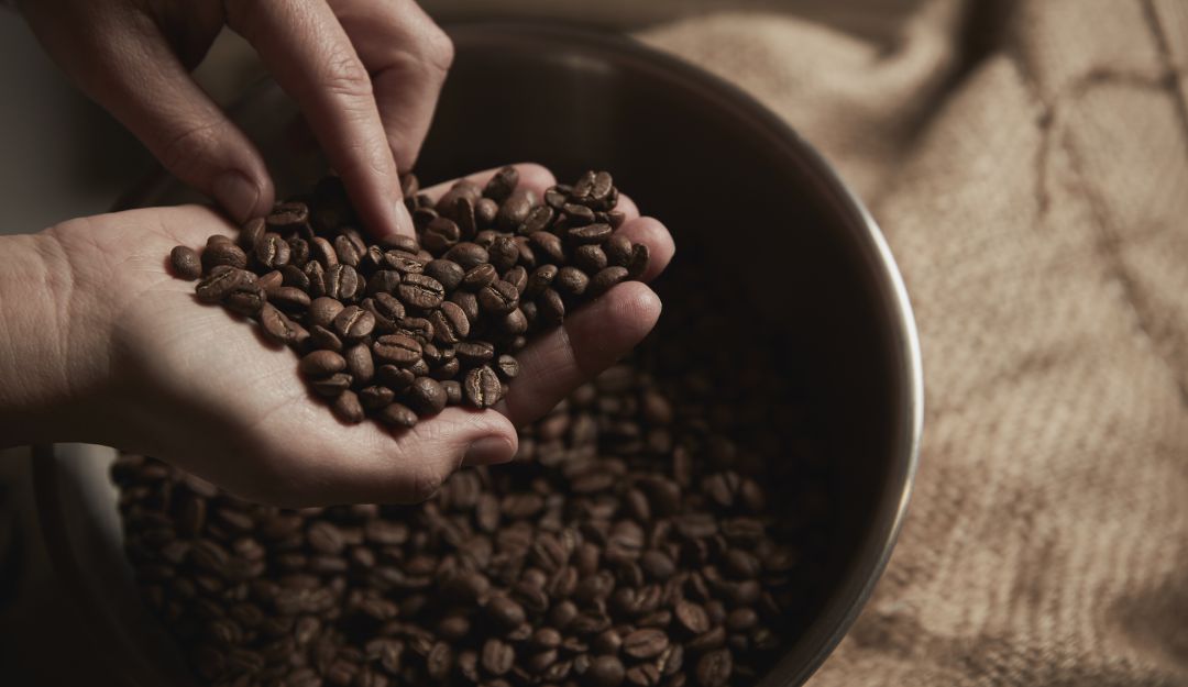 Apoyo a cafeteros Colombia: En Risaralda impulsan a caficultores con discapacidades
