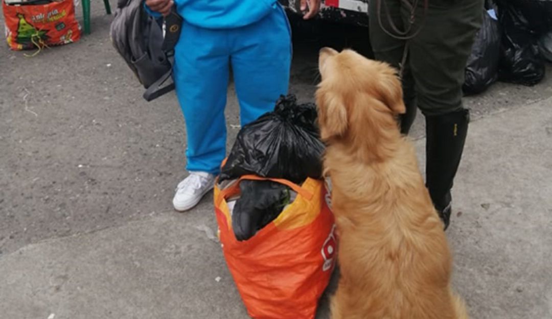 Captura en Manizales