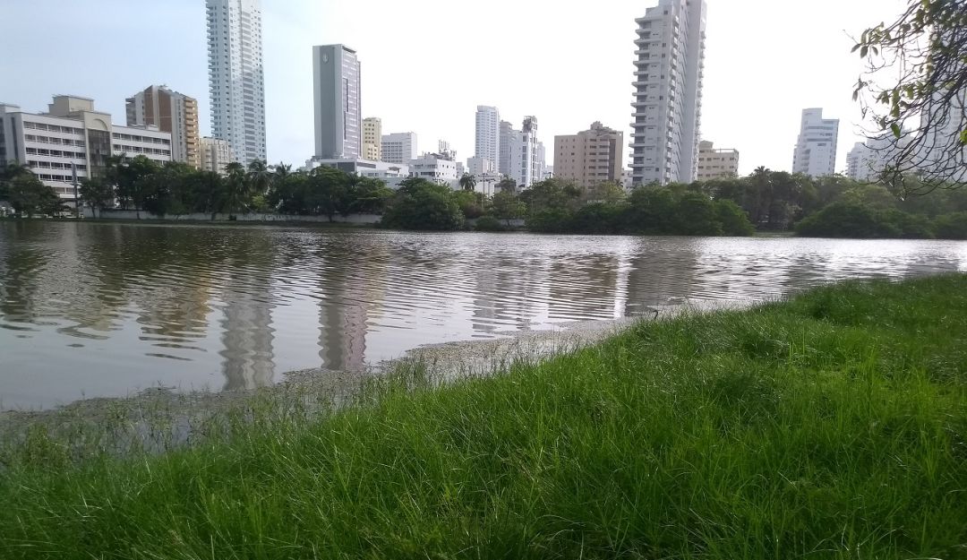 Tutela caso El Laguito en Cartagena: Entutelan a Alcaldía de Cartagena y Gobierno Nacional por caso El Laguito