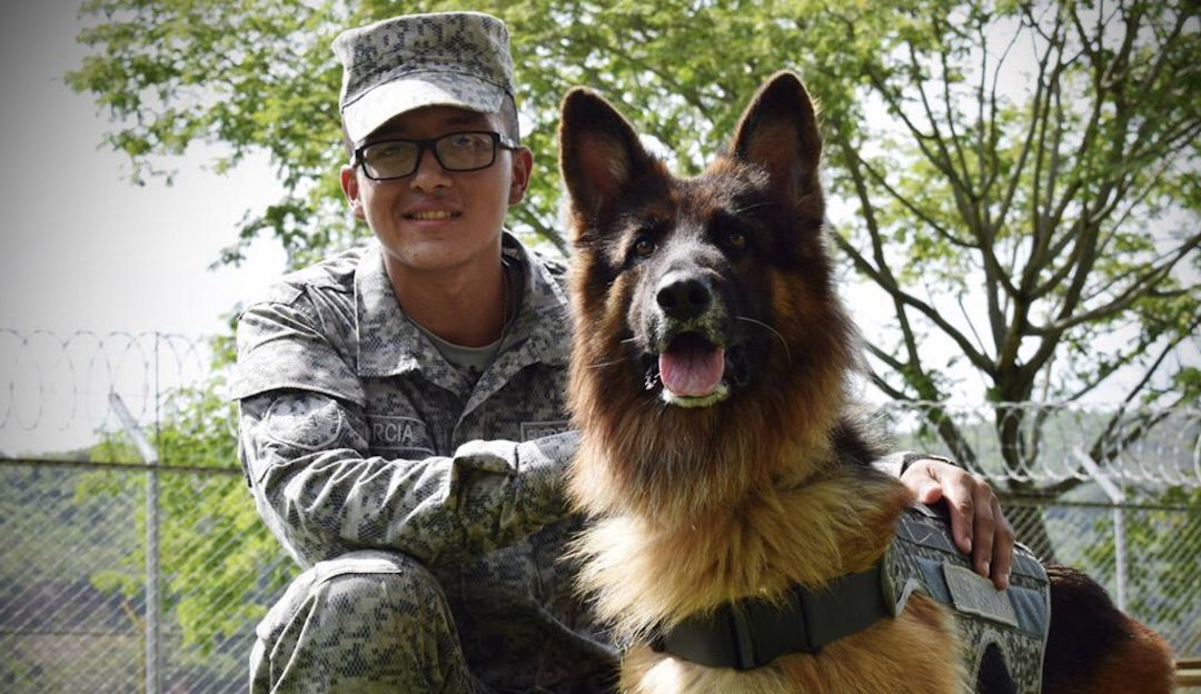 Fuerza Aérea Colombiana: “Shaira” el canino que acompaña operaciones especiales en la Fuerza Aérea