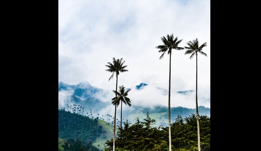 La energía que mueve el desarrollo del Quindío: EDEQ, la energía que mueve el desarrollo del Quindío