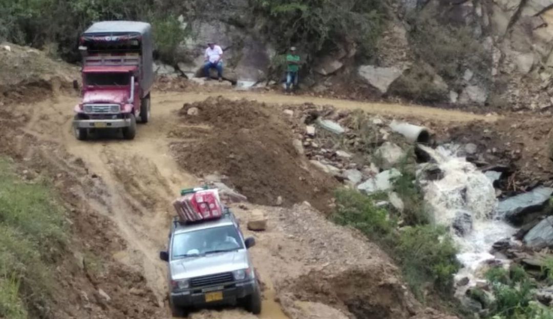 Invierto Ibagué: Invierno en Tolima ya afecta al sector ganadero