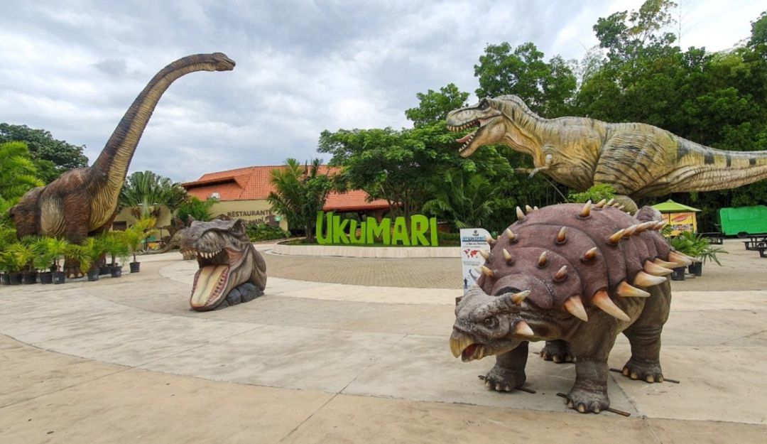 Reapertura del Biparque Ukumarí: Bioparque Ukumarí de Pereira ya tiene fecha para reabrir al público