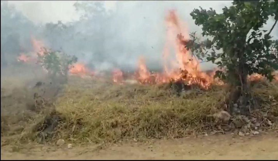 Noticias Huila: Peligroso incendio sigue activo en el municipio de Palermo