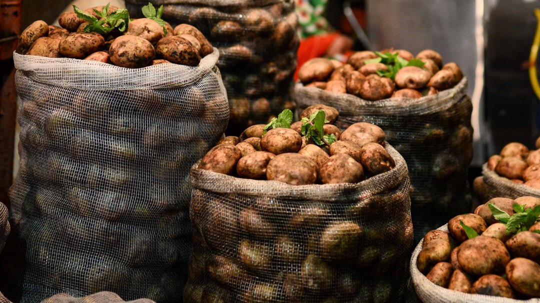 Éxito en programas para reactivar el agro en Cundinamarca