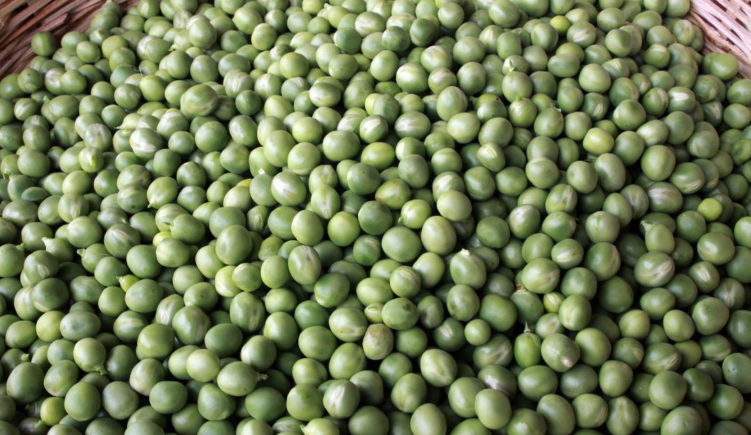 precios mercado abastos, alimentos: La arveja tiende a bajar sus precios