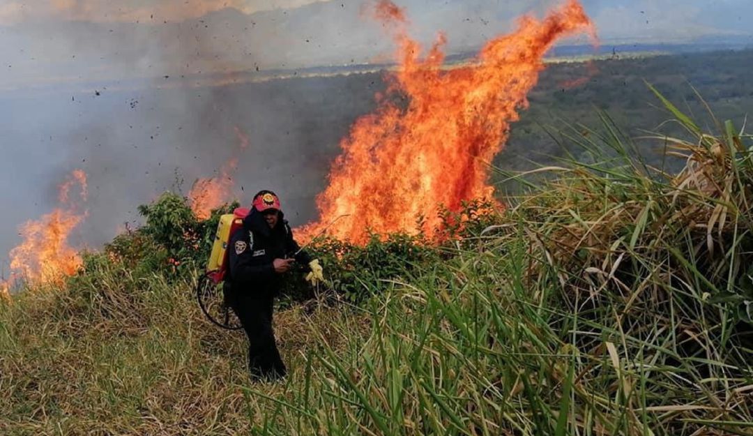 Noticias Huila: Mil hectáreas afectadas por incendio forestal en el Huila