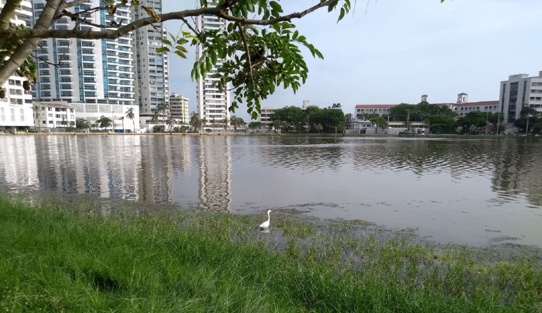 El Laguito de Cartagena: Juez ordena contratar bomba por cuatro meses para El Laguito de Cartagena