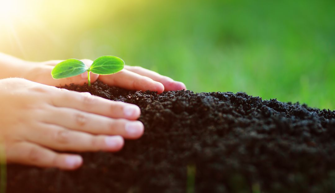 Agro, pandemia, crisis económica: La pandemia dejó al desnudo los graves problemas del campo