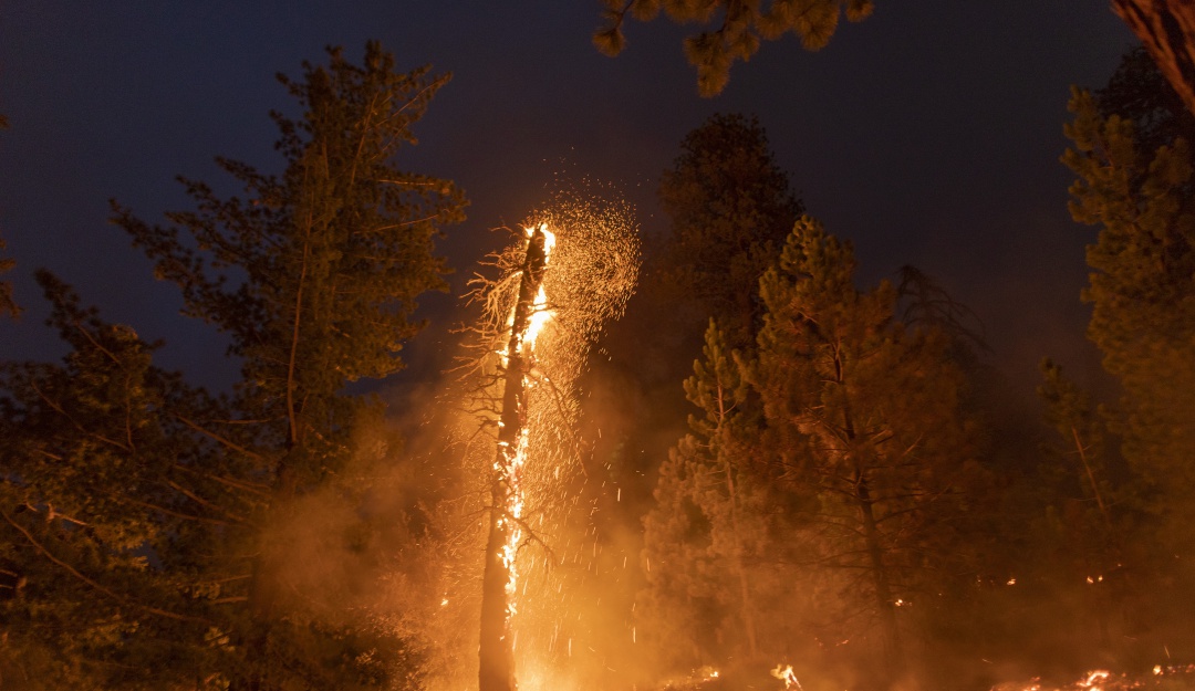 Incendios en Estados Unidos: Decenas de desaparecidos dejan los incendios en la costa oeste de EE.UU.