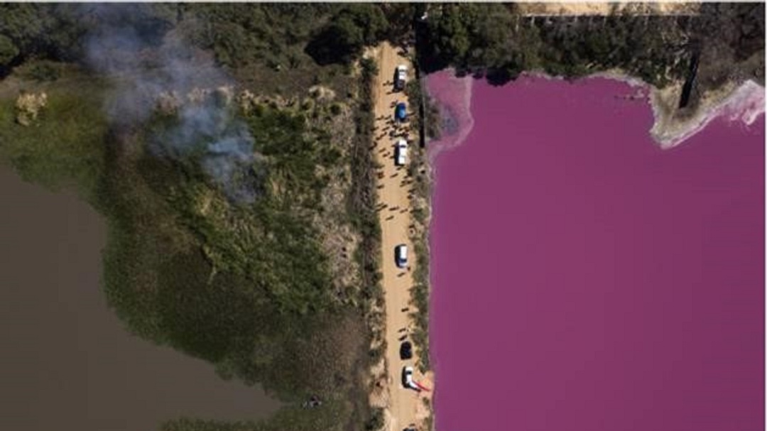 La impactante foto que salvó la laguna Cerro en Paraguay