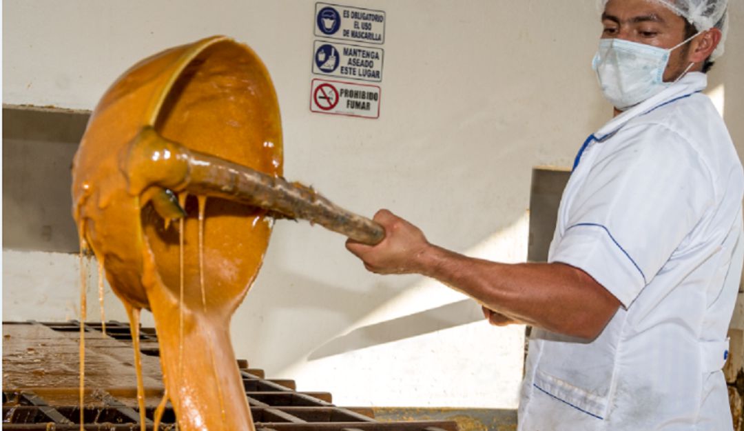 Producción panelera en Colombia, rapadura, piloncillo, papelón: Huila reactiva sus exportaciones de panela