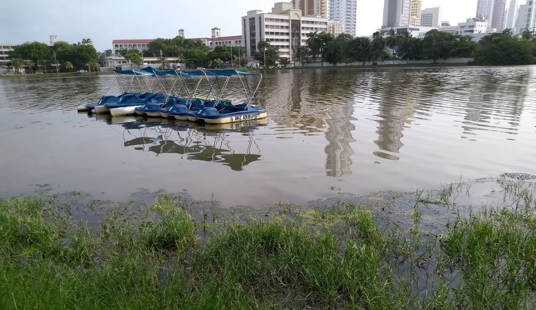 Contaminación ambiental de El Laguito en Cartagena: Director del EPA asegura que la protección costera mejorará a El Laguito