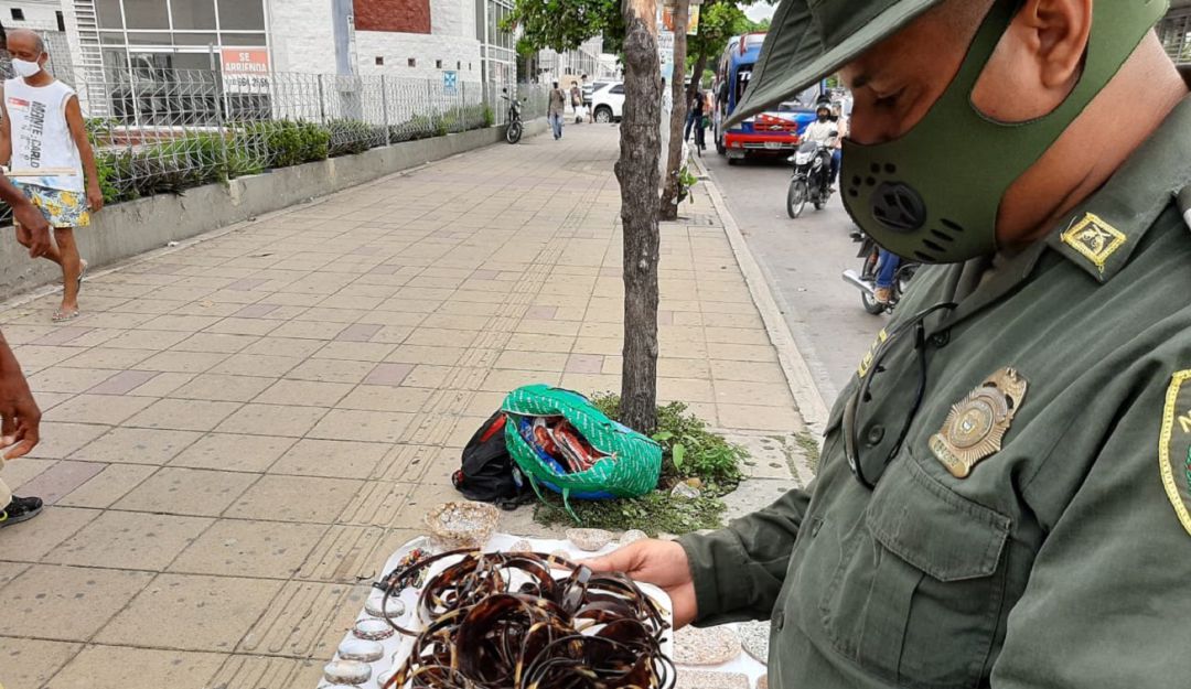 Artesanías de tortugas carey en Cartagena: Refuerzan controles contra el tráfico de artesanías de Carey en Cartagena