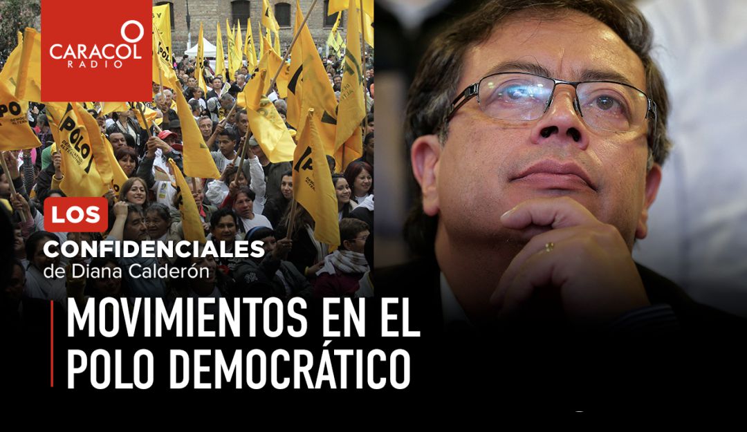 Polo Democrático partido: Movimientos en el Polo Democrático