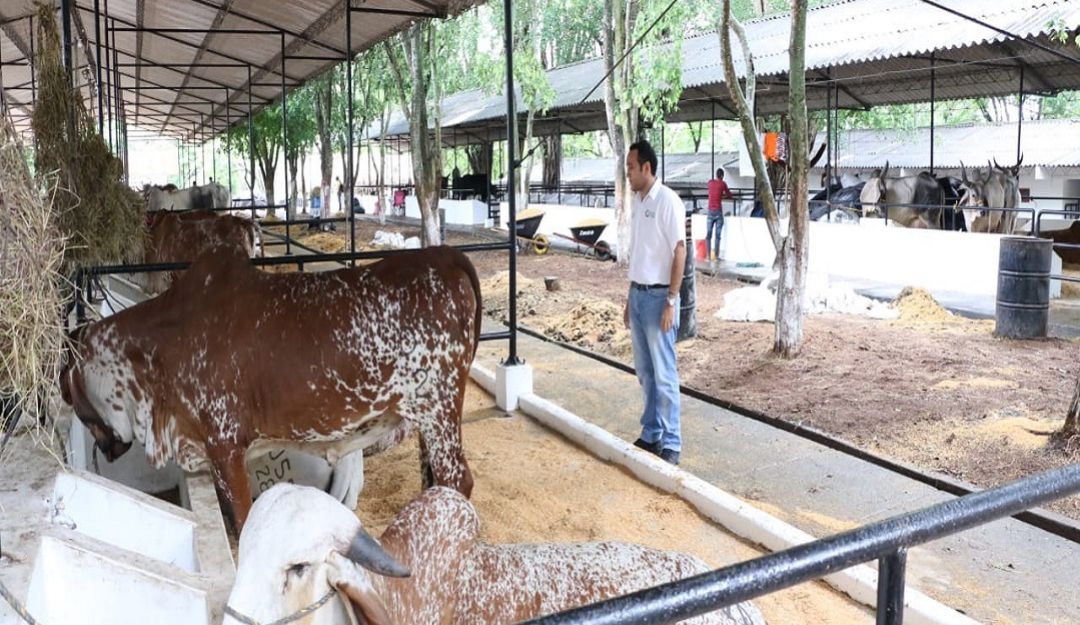 coliseo de ferias miguel villamil muñoz monteria cordoba: Córdoba renovará su Coliseo de Ferias Miguel Villamil Muñoz