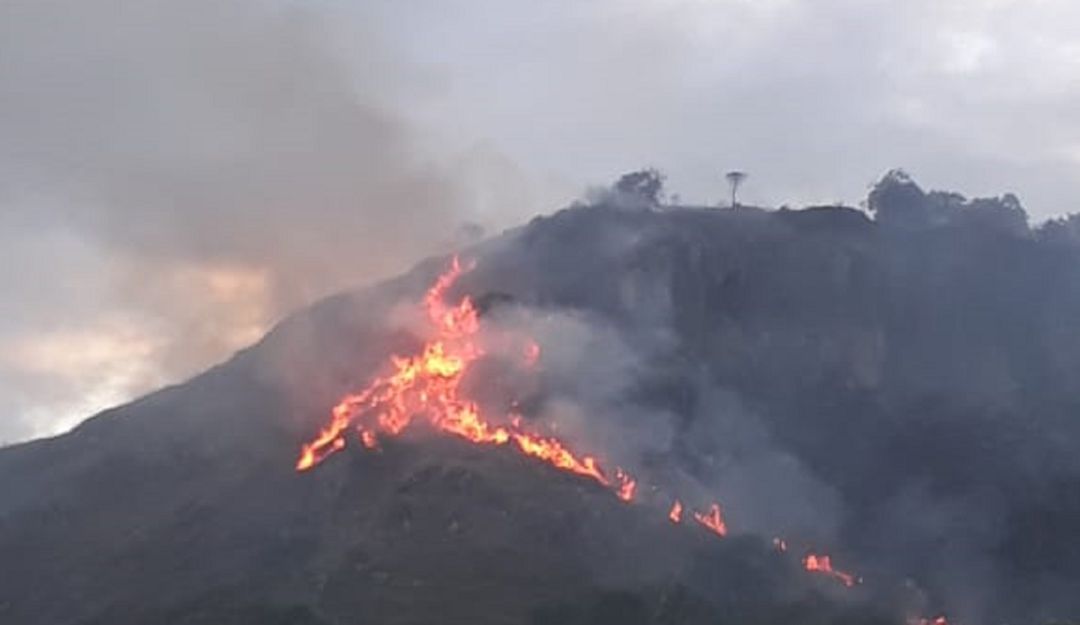 Noticias Huila: Alerta roja en 14 municipios del Huila por incendios forestales