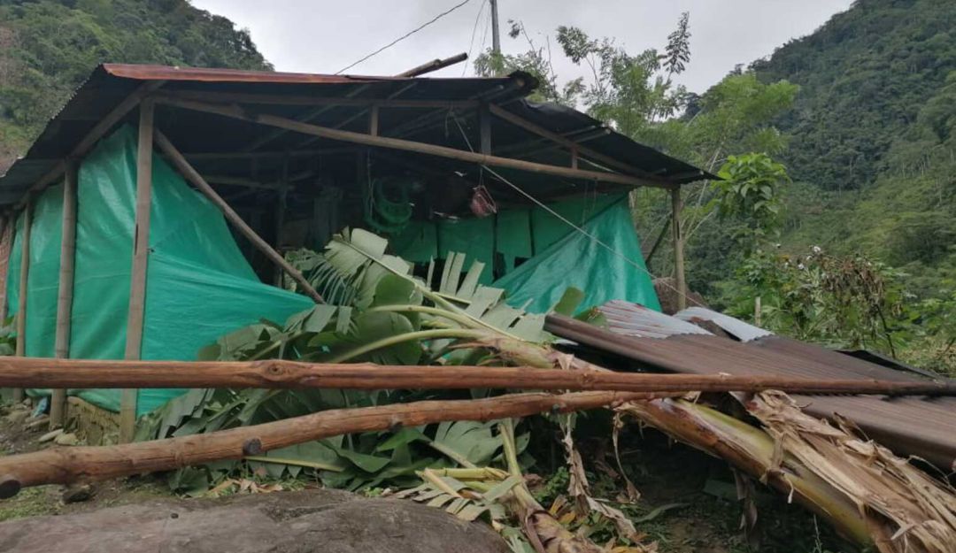 Vendaval en Risaralda: Damnificados por vendaval en Risaralda repararon sus casas con plástico