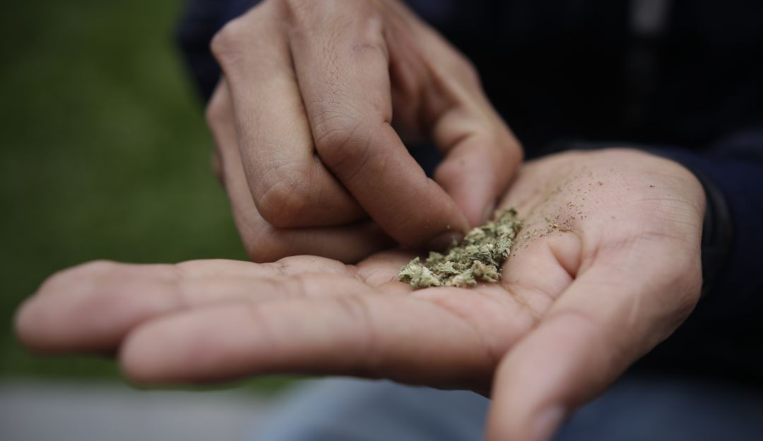 Consumo de marihuana: Avanza en el Congreso uso recreativo de la marihuana para mayores de edad