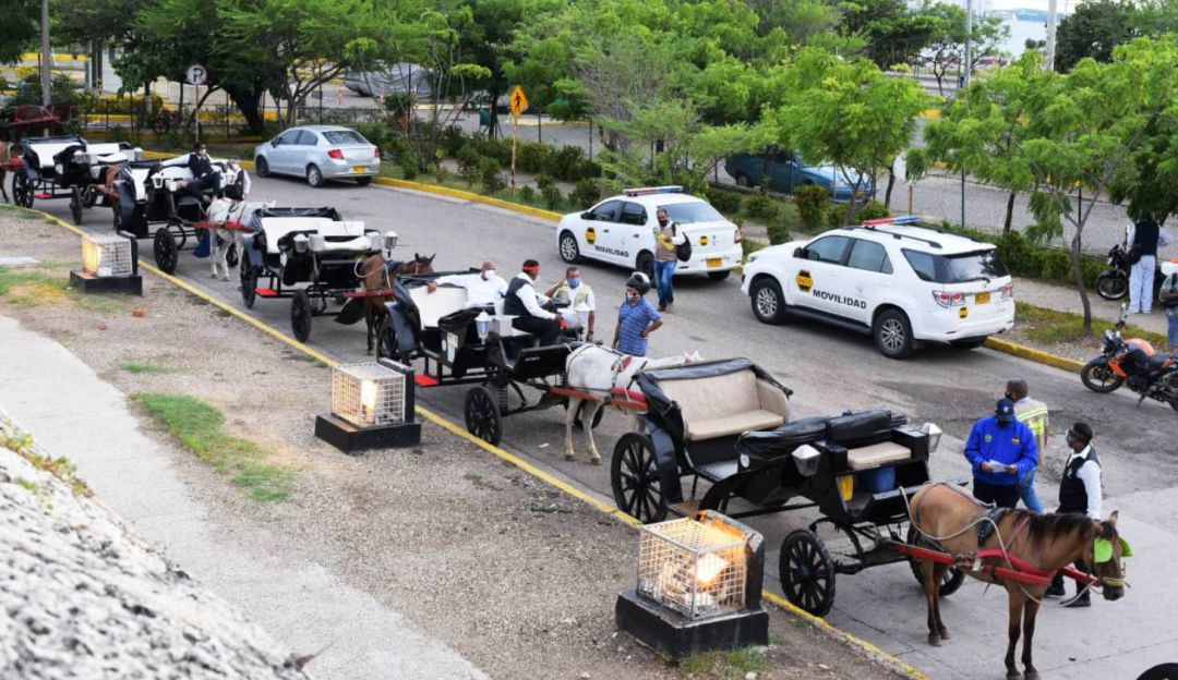 coches en Cartagena: Verifican condiciones técnicas para reactivación de coches en Cartagena