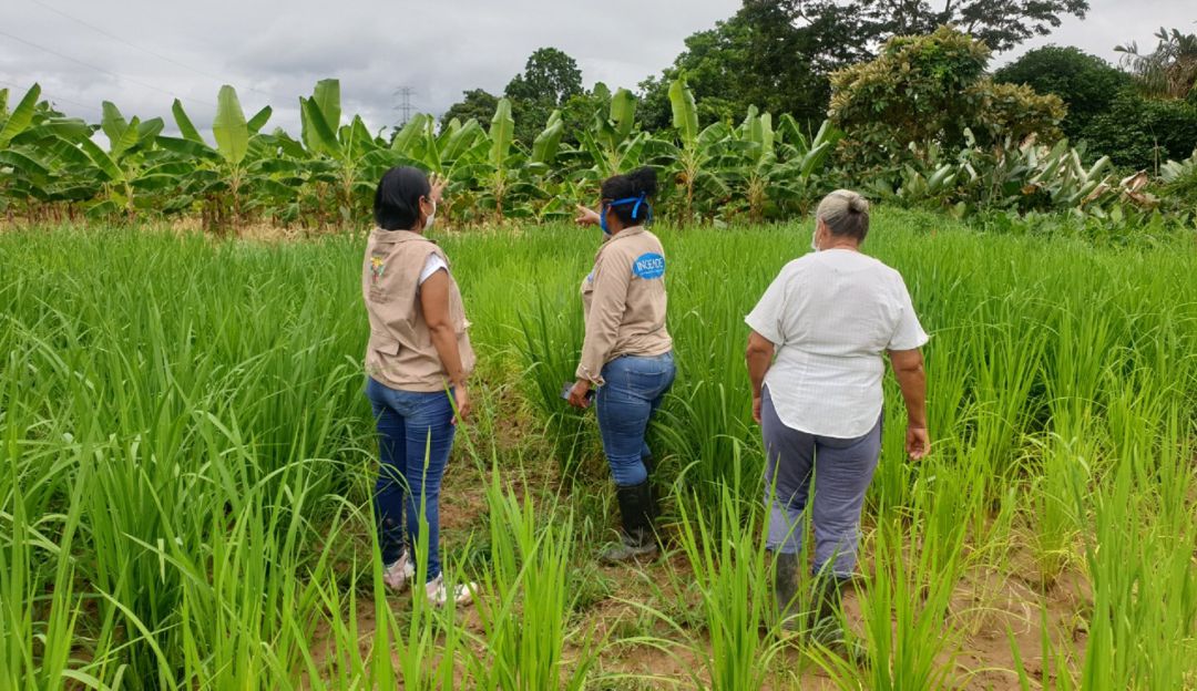 Unidad de Restitución apoyó proyectos productivos por 580 millones en Urabá: Unidad de Restitución apoyó proyectos productivos por 580 millones en Urabá