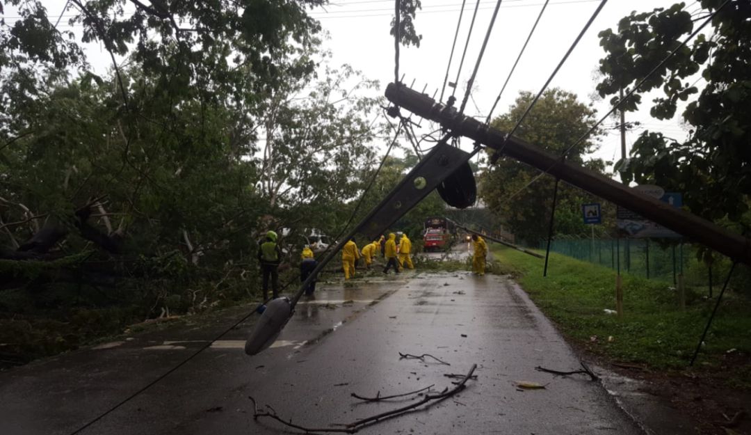 Lluvias torrenciales: Lluvias y vientos causan emergencia eléctrica en ocho municipios de Sucre