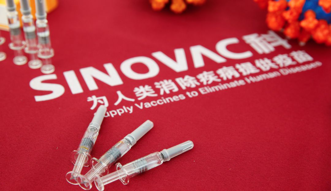 Vacunación masiva Covid-19 Sinovac: Una vacuna china estaría lista para aplicación masiva a comienzos de 2021