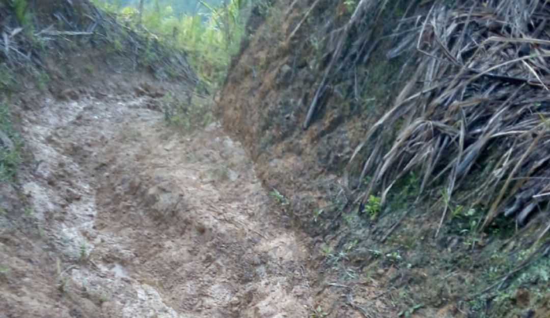 Vía vereda El Tigre de Salamina