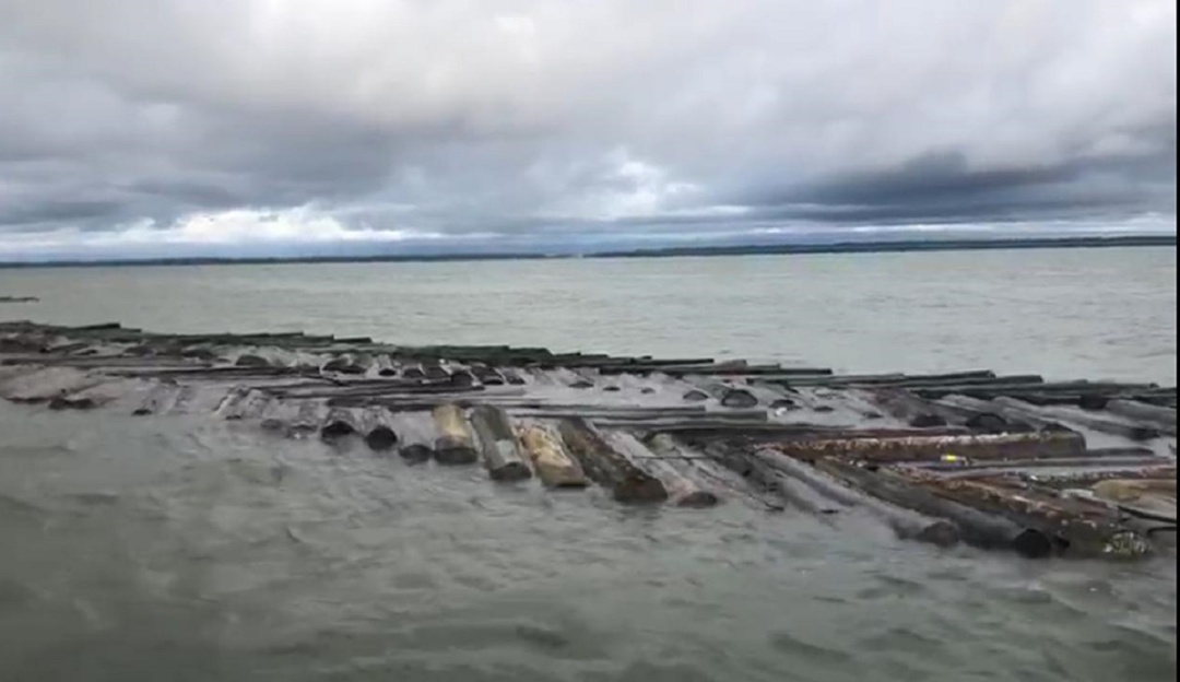 Golpe al tráfico ilegal de madera en Buenaventura: Golpe al tráfico ilegal de madera en Buenaventura