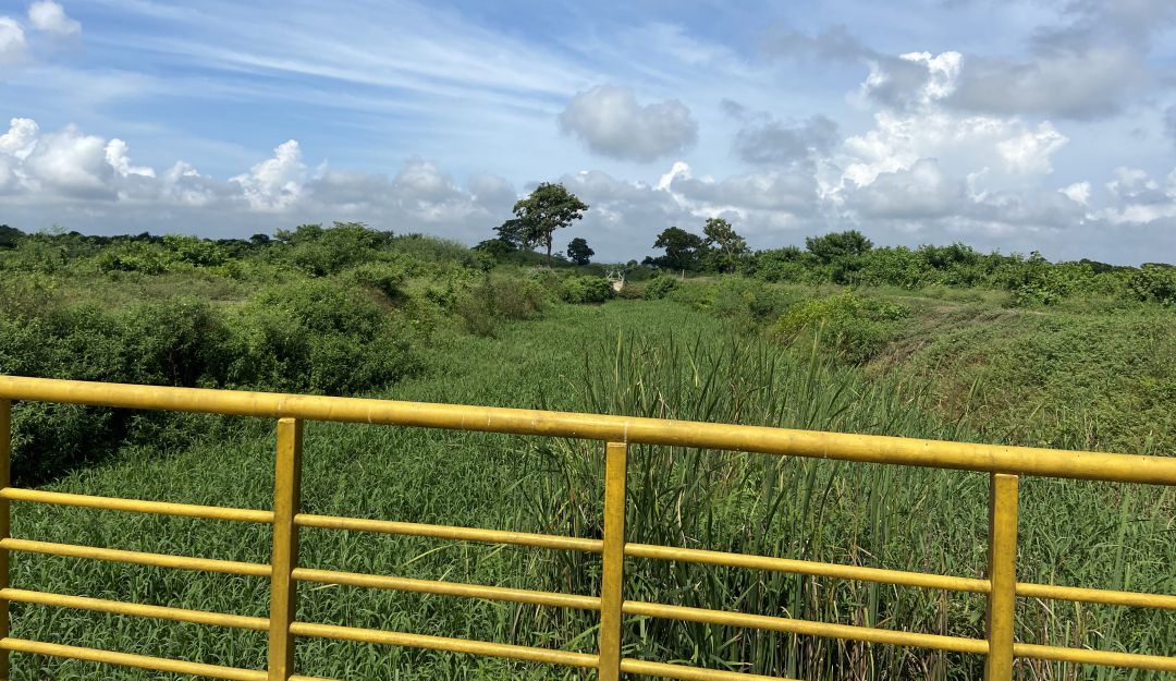 Reinician obras para llevar agua dulce a la Ciénaga Grande de Santa Marta