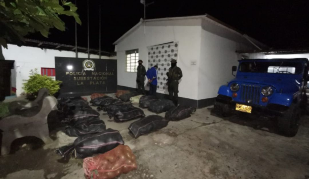 Capturas en Caldas por hurto a aguacates: Capturan en Caldas a persona que había hurtado una tonelada de aguacates